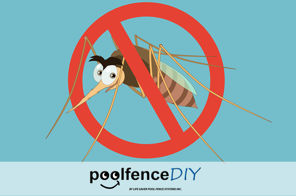 Protecting Your Pool from Mosquito-Borne Viruses: A Guide to Water Safety